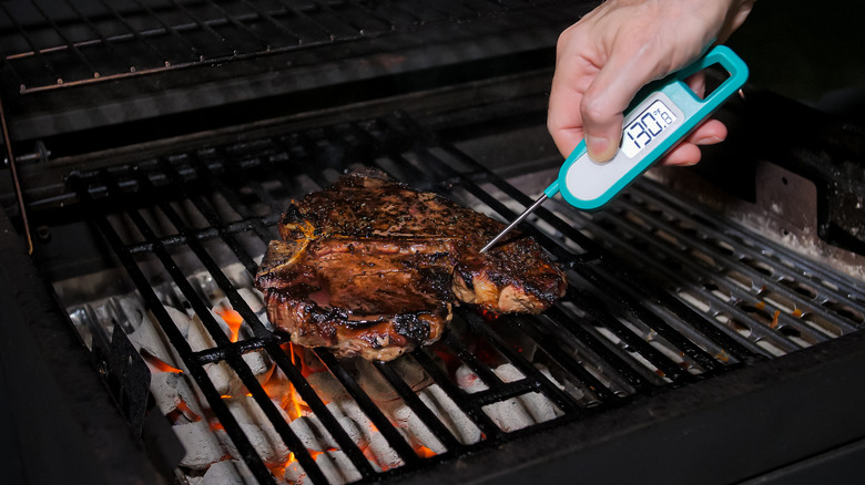 Meat thermometer in steak
