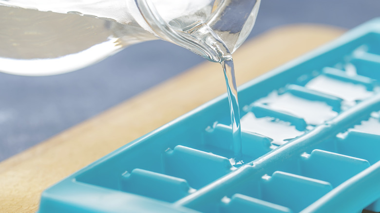 Water poured into ice cube tray
