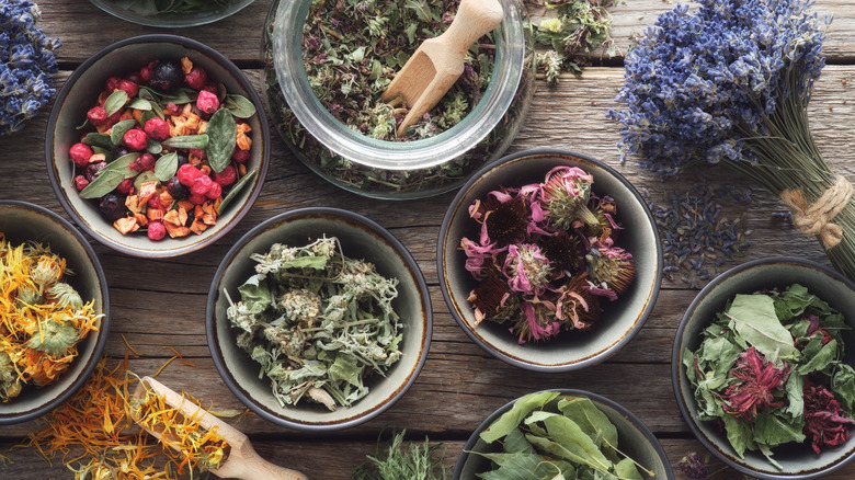 assorted dry medicinal herbs