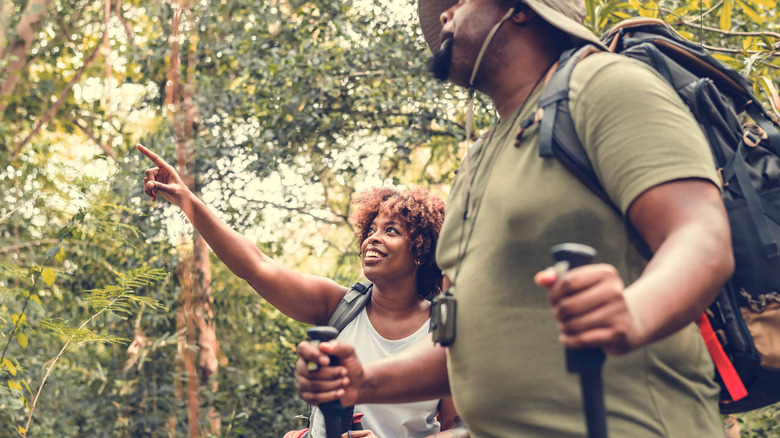 Couple hiking in woods