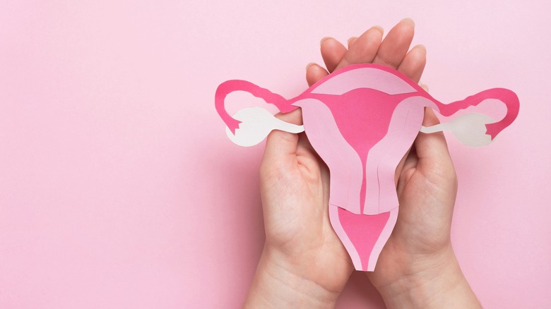 Woman's hands with a pink construction paper uterus model.