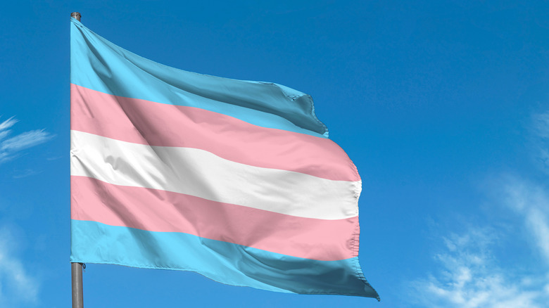 Lesbian pride flag raised against a blue sky.