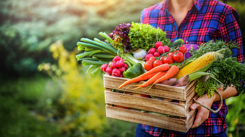 Person carrying fresh produce