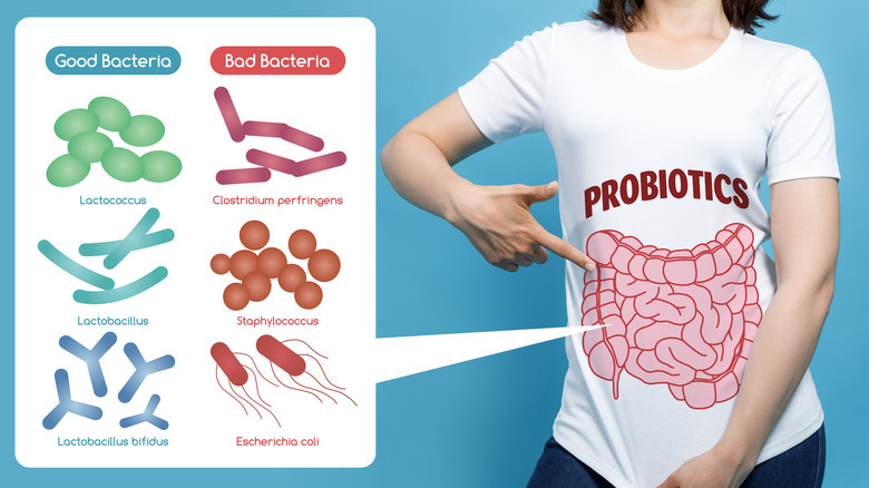 Woman wearing "Probiotics" shirt alongside a picture of gut bacteria