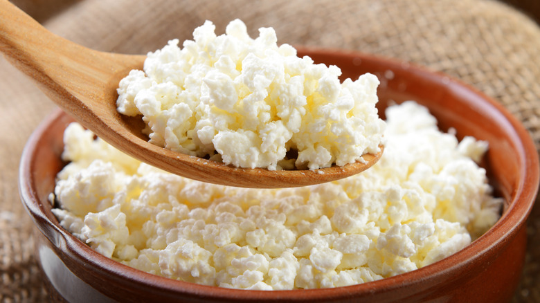 wooden spoon holding cottage cheese over bowl