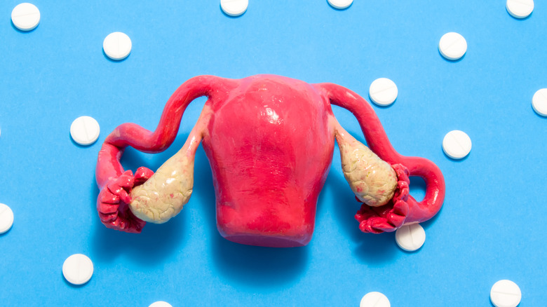 Model of a uterus with cancer cells
