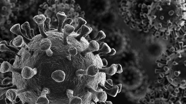 A black and white image of the coronavirus