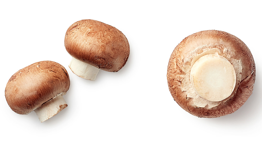 A bunch of mushrooms on white background