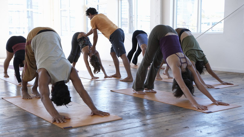 yoga group in down dog pose