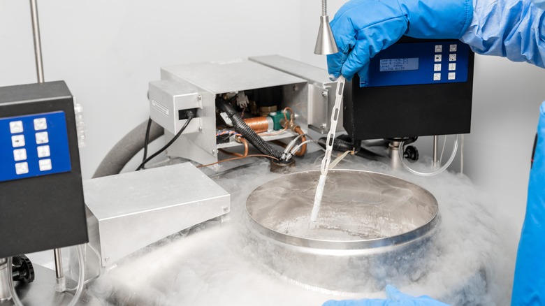 Cryopreservation of embryo in a lab