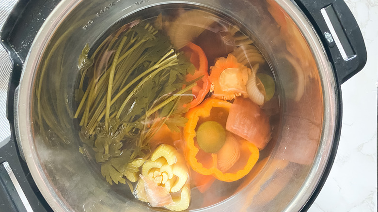 broth ingredients in instant pot