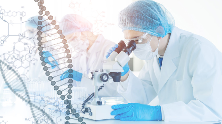 Scientist looks into microscope with an image of DNA in the foreground