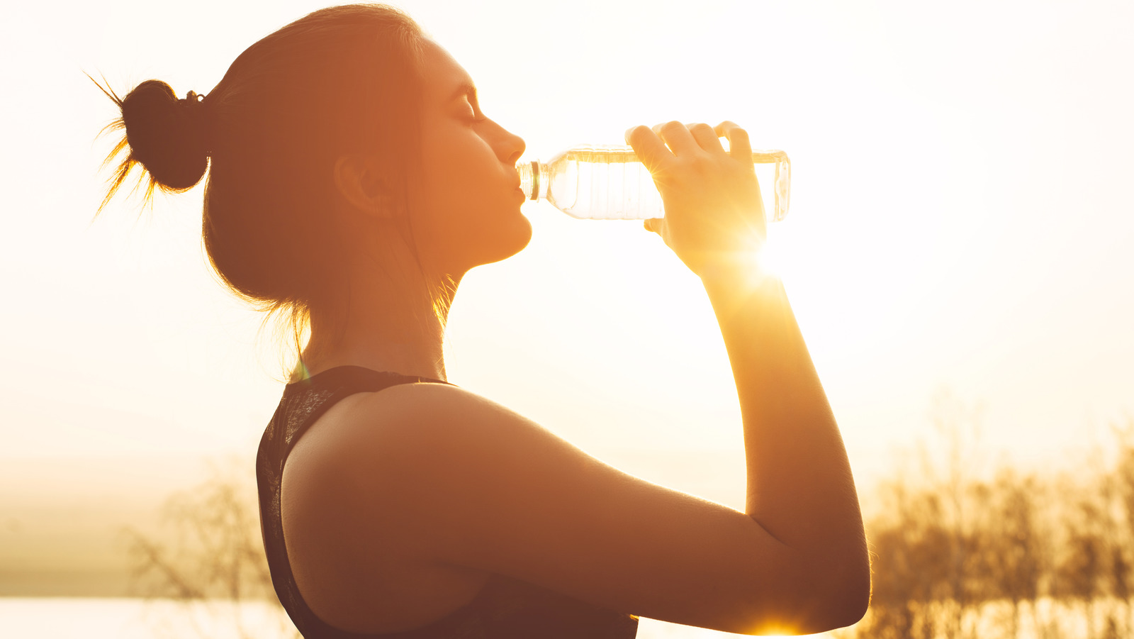 Is Bottled Water Better For You Than Tap