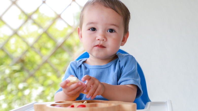 baby boy eats fruit in his high chair 