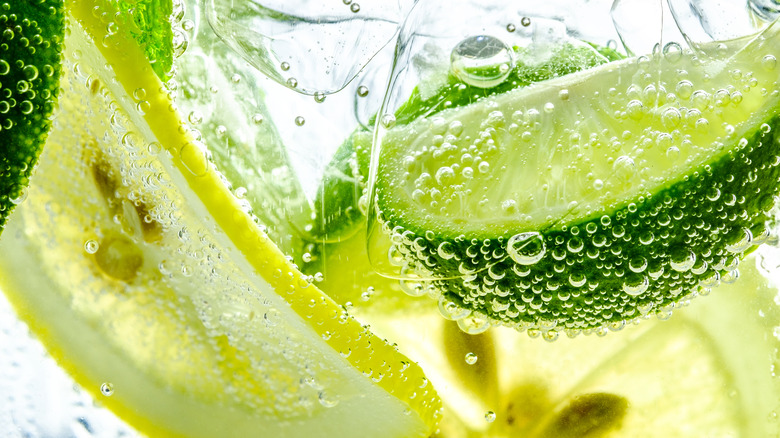 Close up of fruit slices in sparkling water 