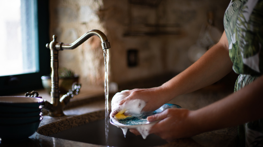  Is It Okay To Use Dish Soap To Wash Your Hands 