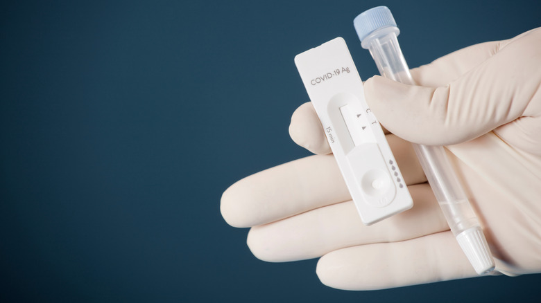 Gloved hand holding antigen test