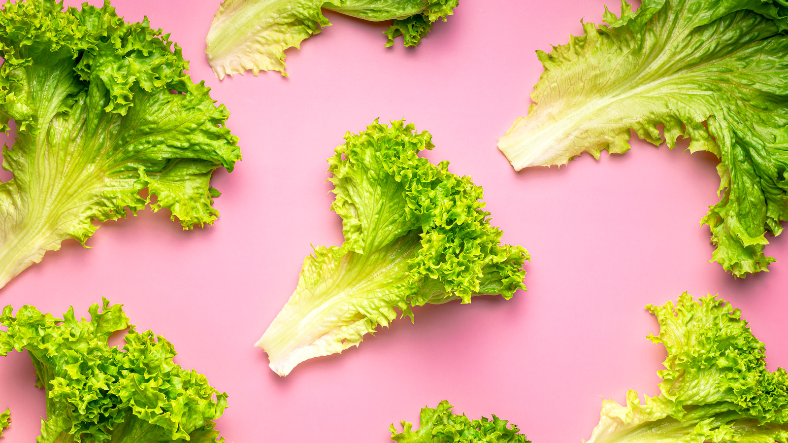 Is It Safe To Eat Pink Lettuce?