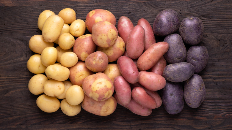 four types of raw potatoes together in a bunch 