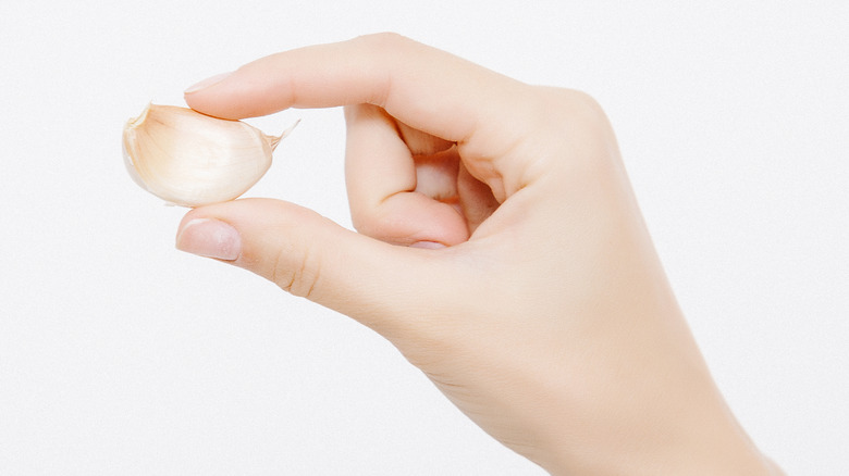 A garlic clove between fingers