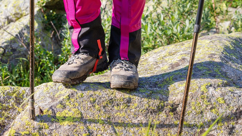 Hiker's feet with walking stick