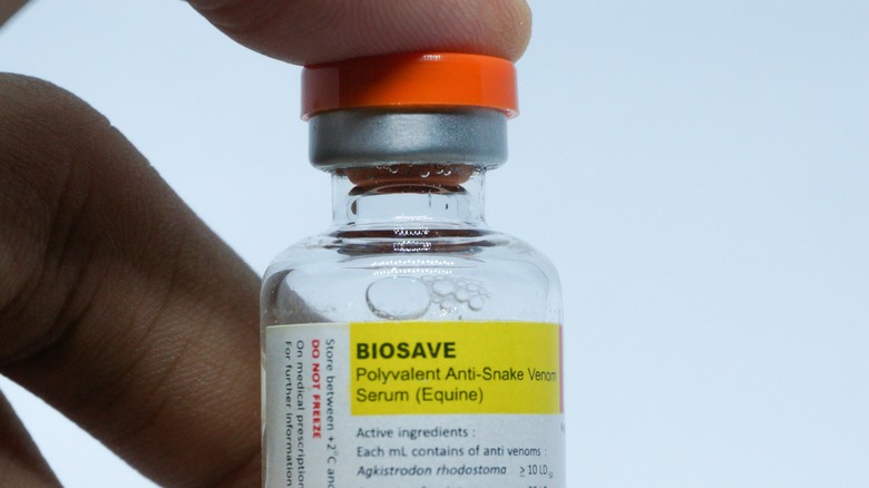 Vial of anti-snake venom serum