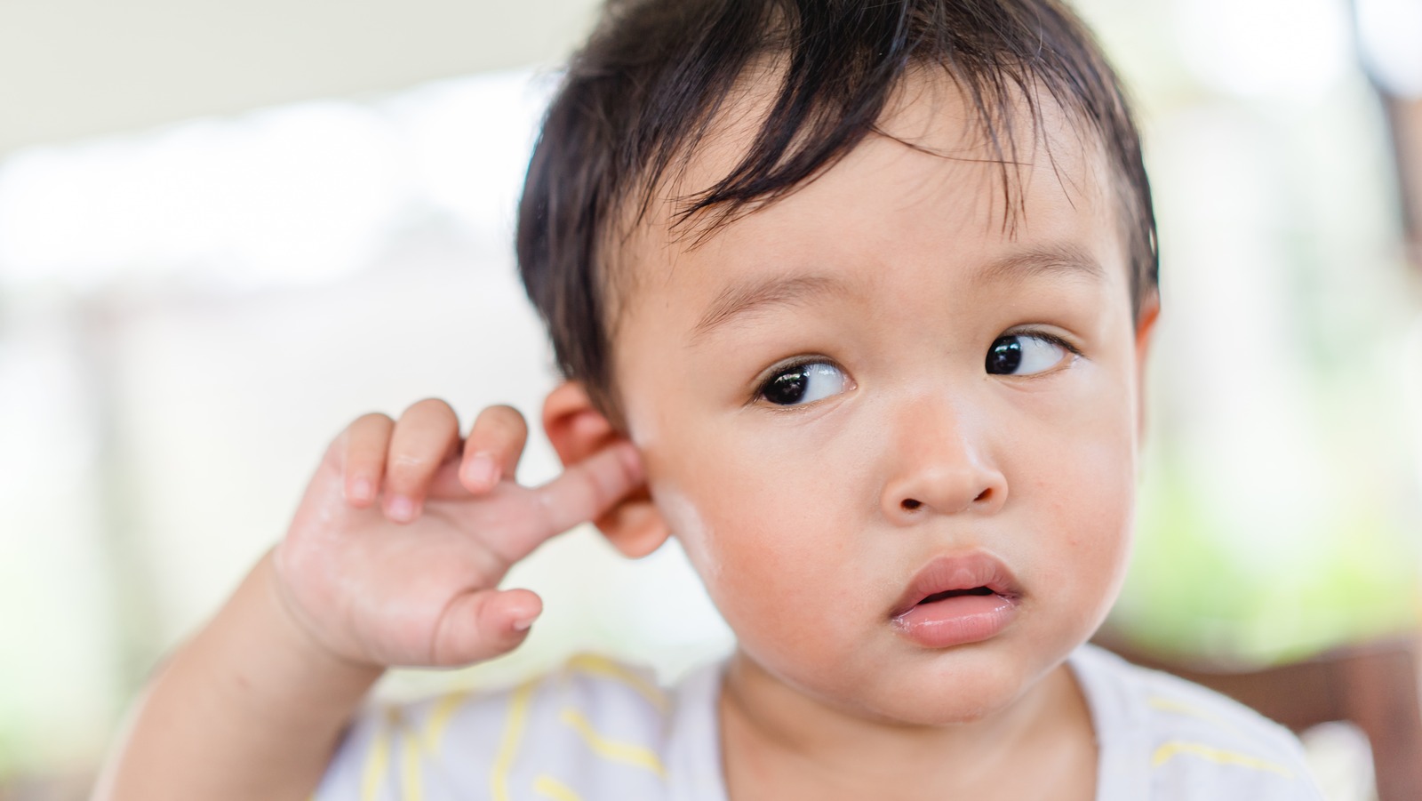 Is It Safe To Use Olive Oil To Treat Ear Infections?