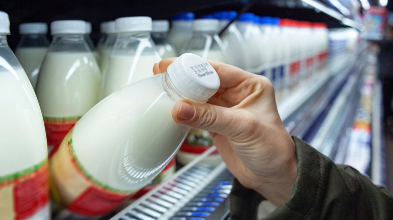 Milk on grocery store shelves
