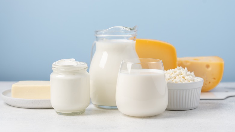 Dairy products against a light blue background