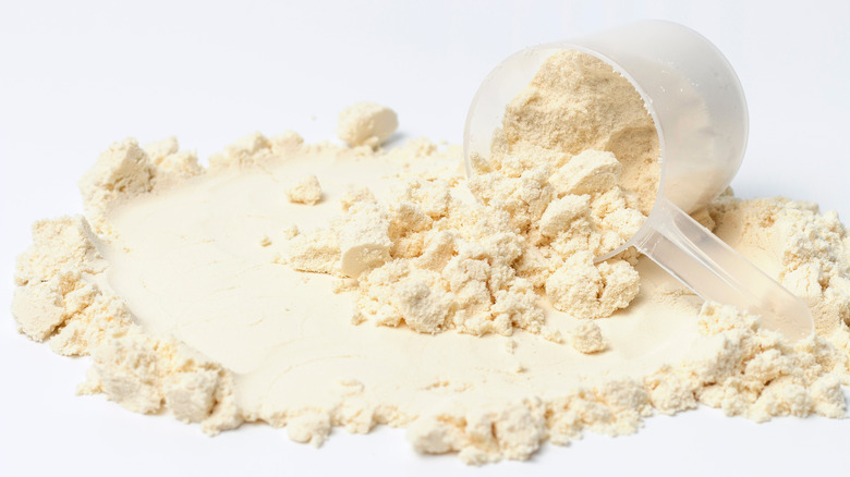Scoop of soy protein powder 