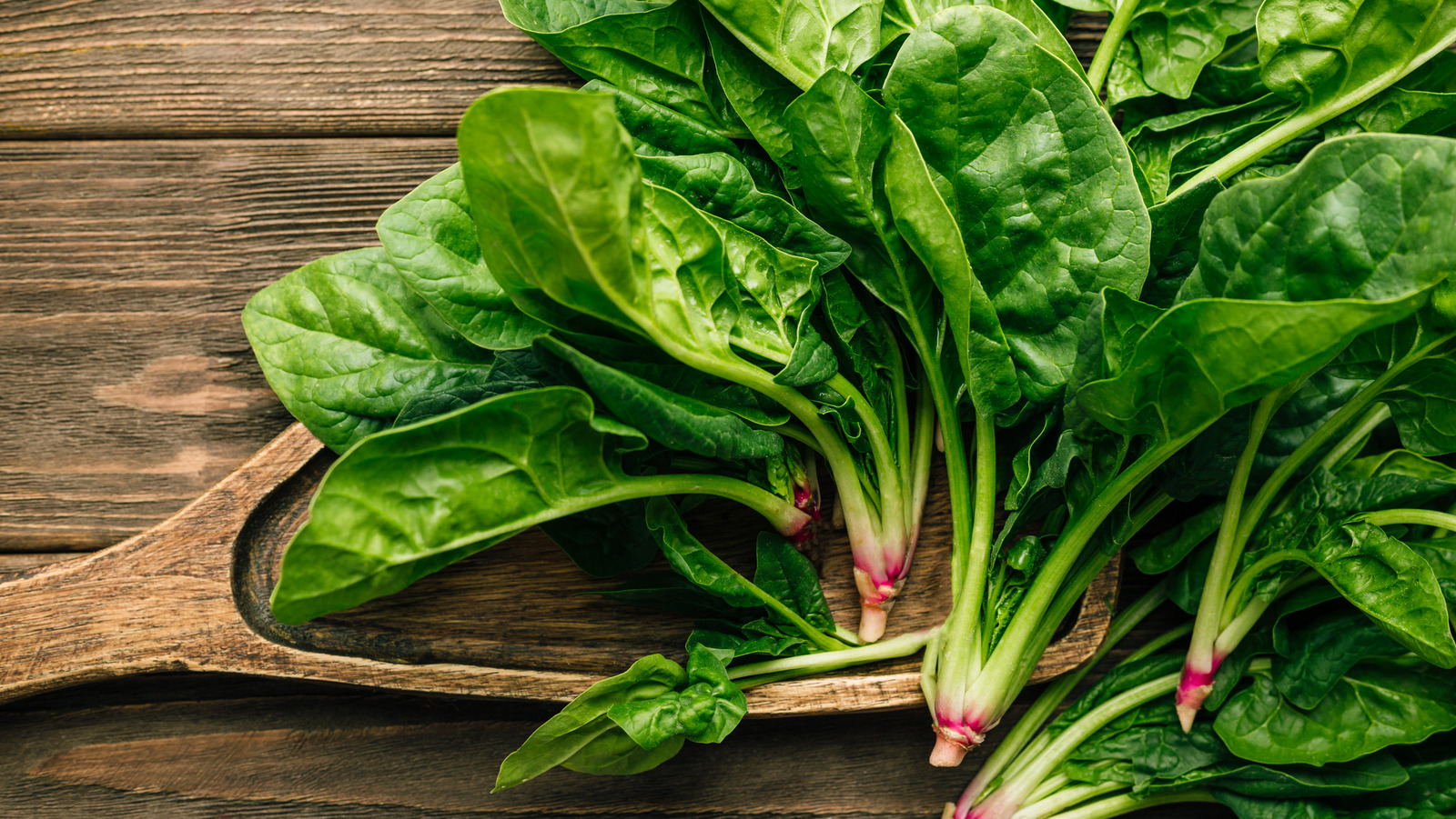 Is Spinach Good For Diabetes 