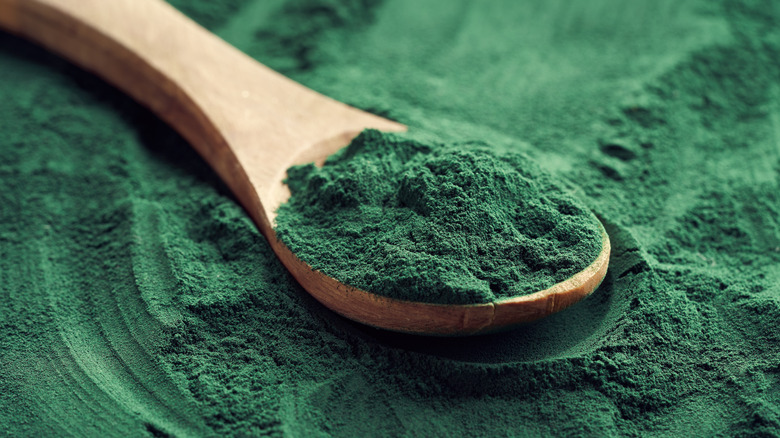 Fresh powdered spirulina