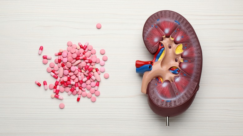 Pills on table next to kidney model