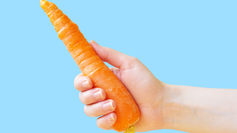 a hand holding a carrot