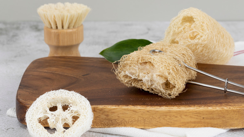 A few loofahs on a wood block