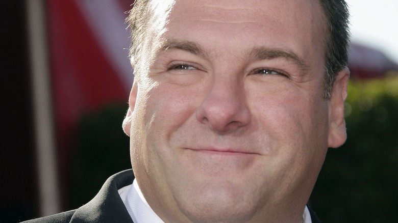 Close up of actor James Gandolfini 