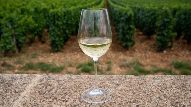 white dry wine made from Chardonnay grapes