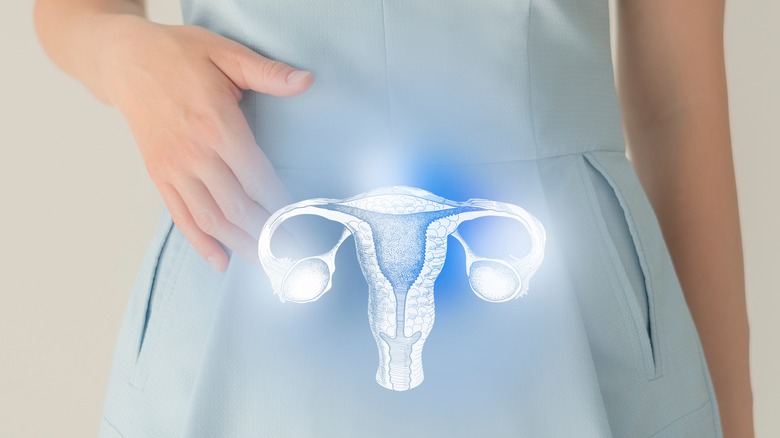 female reproductive organs superimposed on woman's abdomen