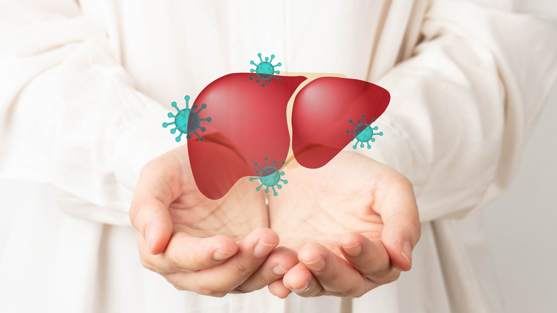 Doctor holding model of liver with virus