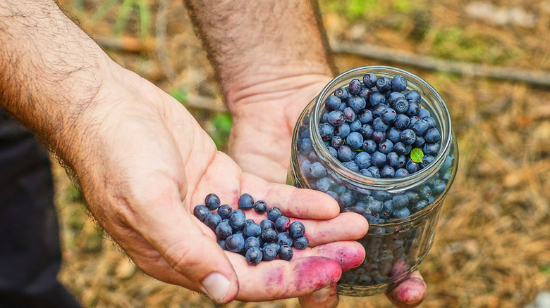 A man holding a jar of blueberries in his hand