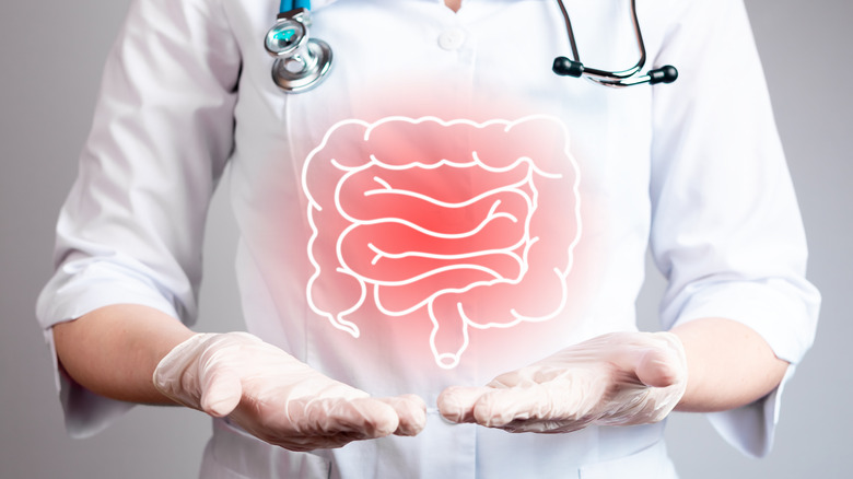 Nurse holding inflamed bowel hologram