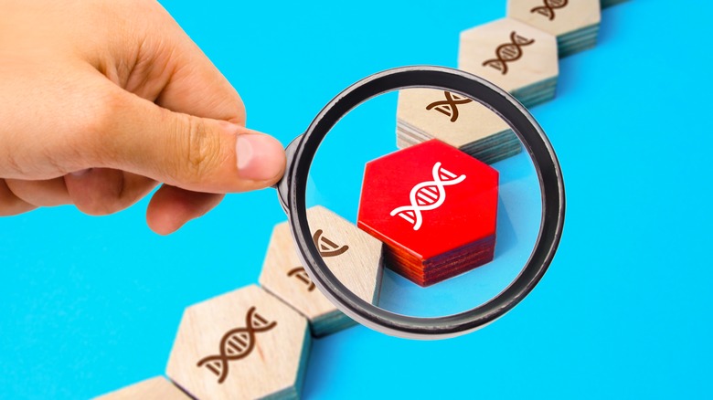 Disruption in DNA strand