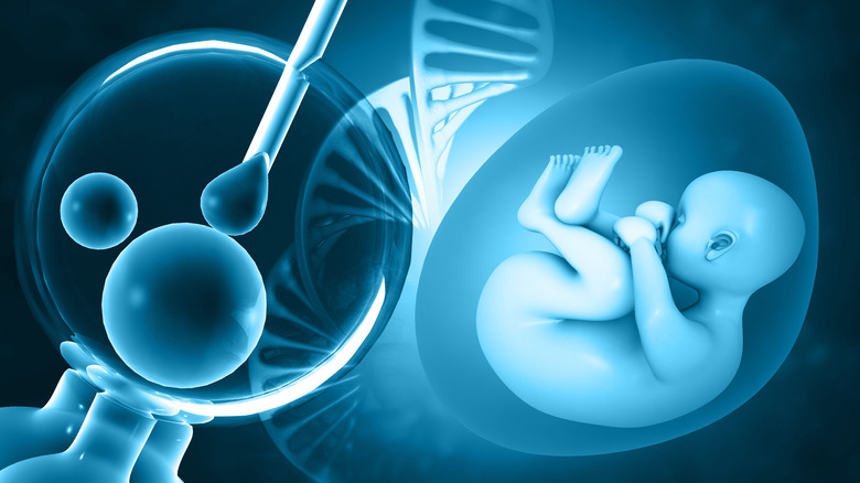 IVF and human fetus with DNA strand