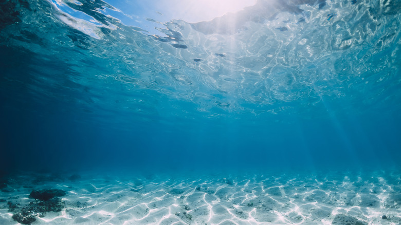 ocean under water