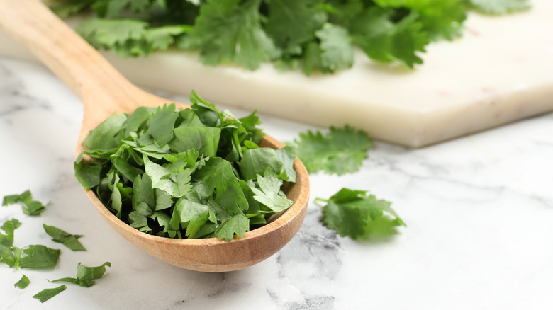 Chopped cilantro