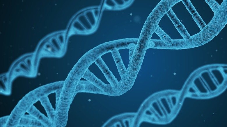 DNA does not guarantee disease