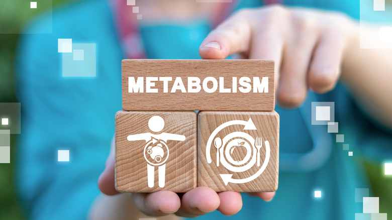 Person holding three wooden blocks that illustrate a person's metabolism