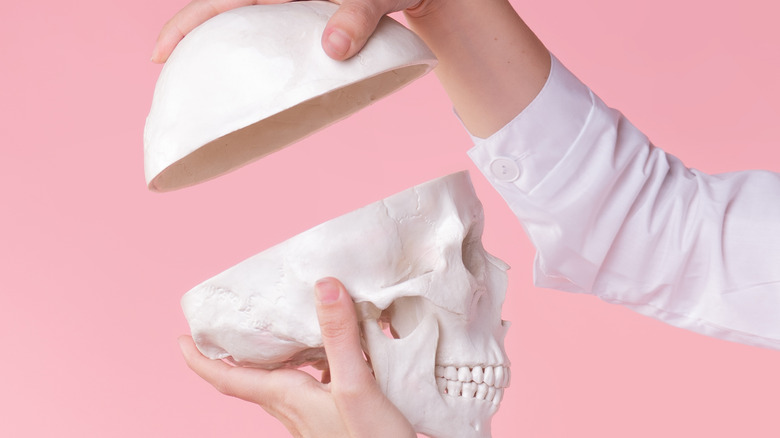 hands holding a human skull against pink background