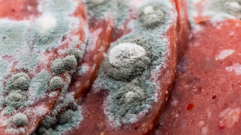 Bacteria and mold on meat