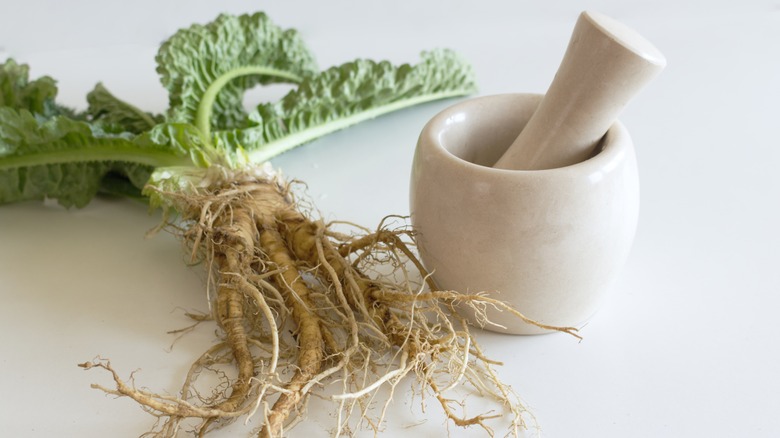 Plant on a table next to a mortar and pestle